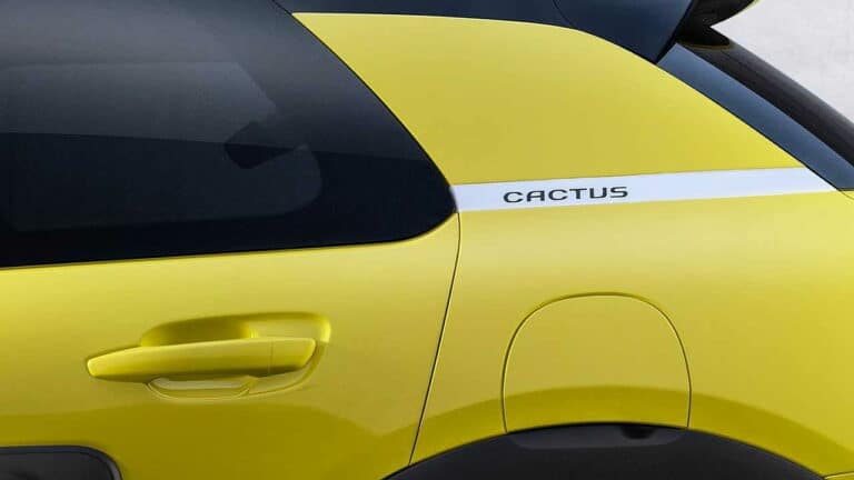 Citroen-C4-Cactus-common-problems