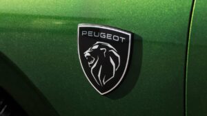 Peugeot-308-2023-2024-doors-control-unit-error